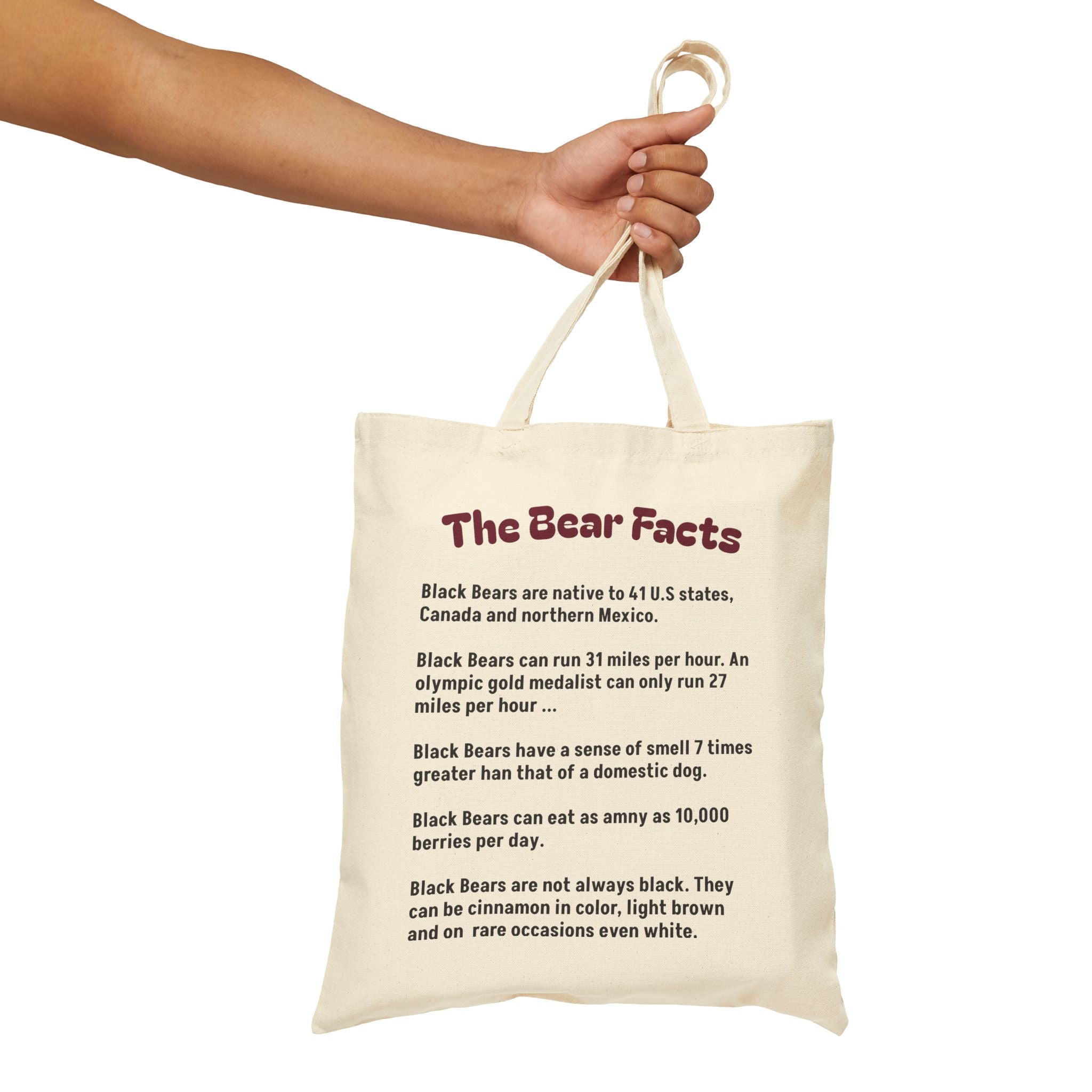 Tote Bag — "The Bear Facts" Educational Canvas Tote (Wildlife Facts, Nature Lover Gift)